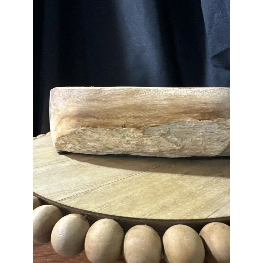 Petrified Wood Bowl Rustic Decor 8.5lbs  Amazing Statement Dish
